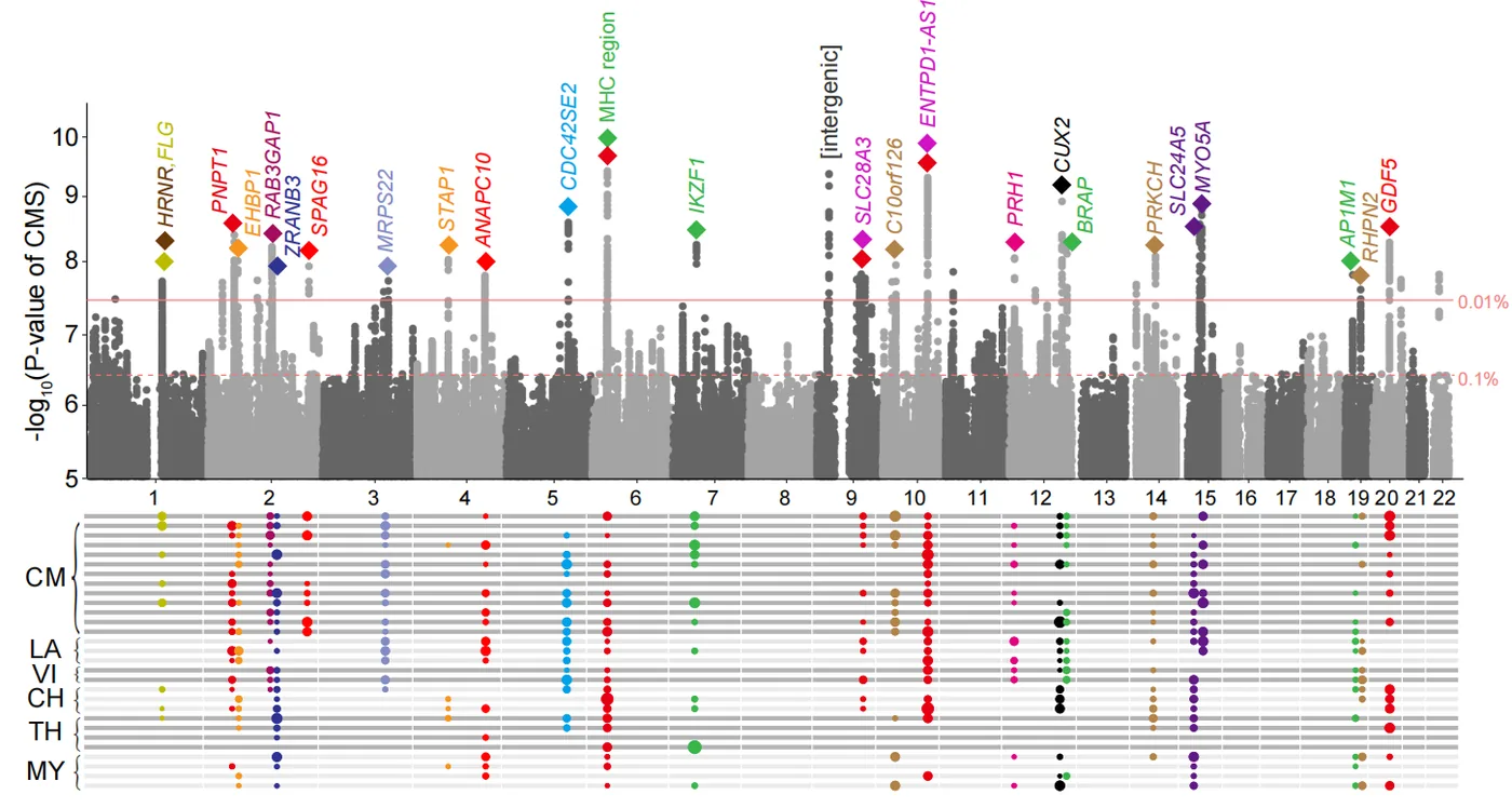 Adaptive Evolution 2