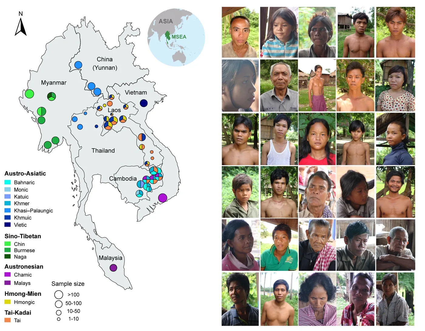 Genomic Diversity 1