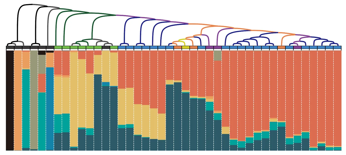 Genomic Diversity 2