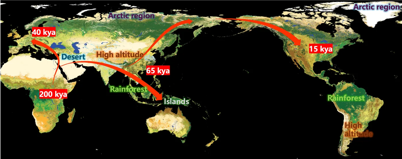 Human Adaptive Evolution