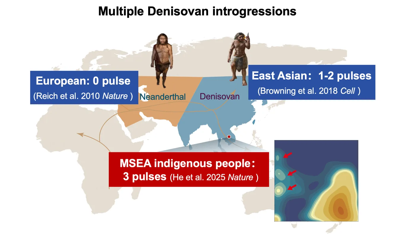 Population History 1